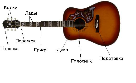 Обучение гитары в домашних условиях